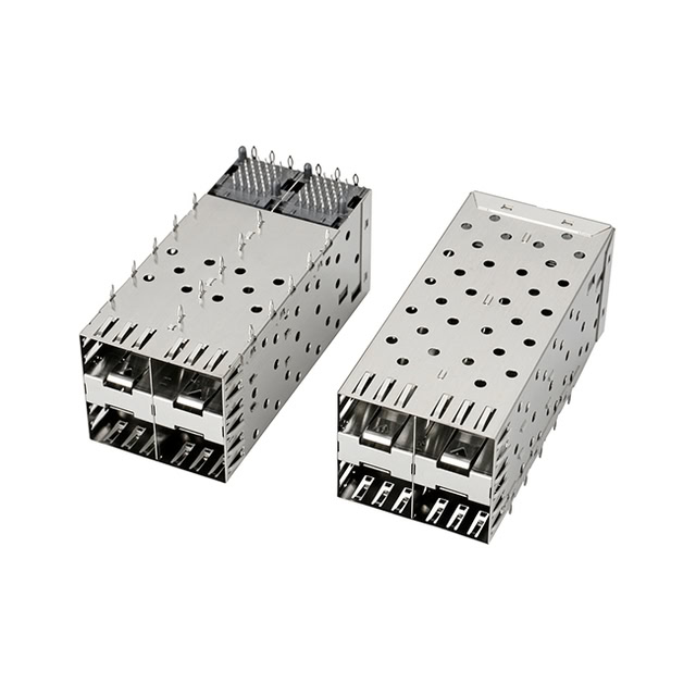 SFP cage 2x2